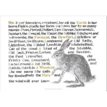 Jackie Morris Poster Names of the Hare The by Jackie Morris Other Book