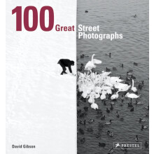 100 Great Street Photographs by David Gibson Paperback Book