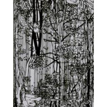 Bucherwald by Ingo Giezwndanner Paperback Book