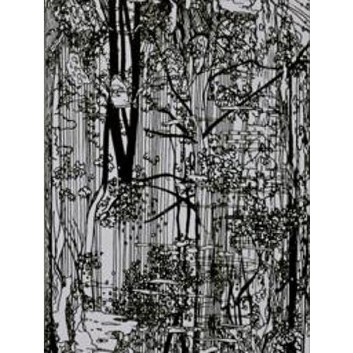 Bucherwald by Ingo Giezwndanner Paperback Book