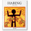 Haring by Alexandra Kolossa Hardcover Book 1