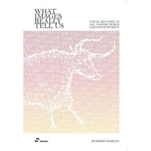 What Images Really Tell Us by Massimo Mariani Paperback Book