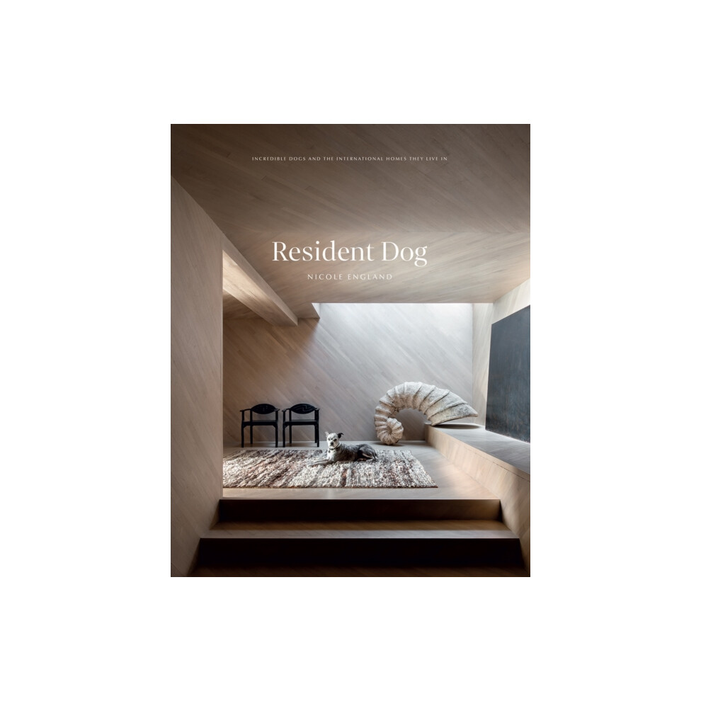 Resident Dog (Volume 2): Incredible Dogs and the International H - Image 6