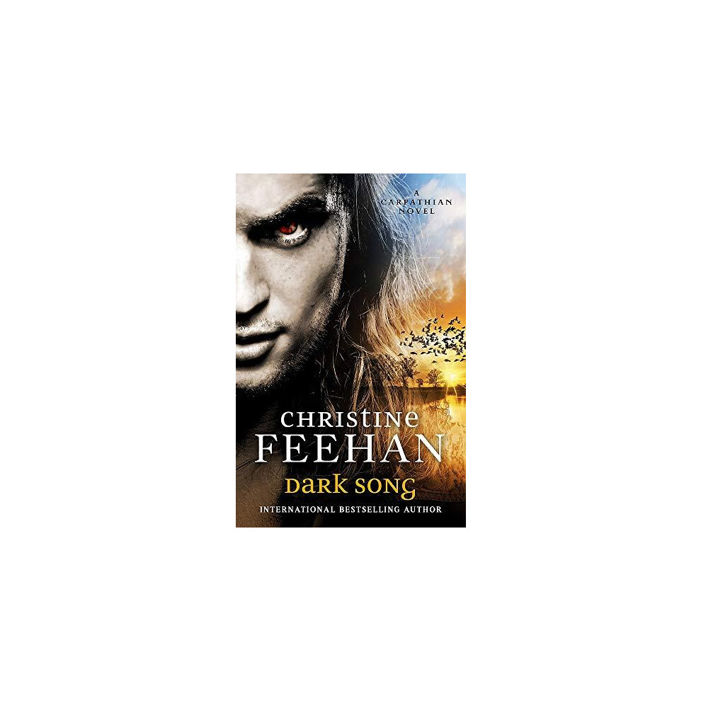 Riachristiecollections Dark Song By Christine Feehan Hardcover Book