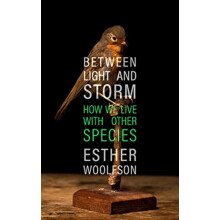 Between Light and Storm by Esther Woolfson Hardcover Book