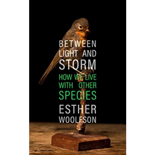 Between Light and Storm by Esther Woolfson Hardcover Book