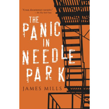 Panic in Needle Park by James Mills Paperback Book