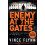 Enemy at the Gates by Kyle Mills Paperback Book 1