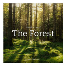 Life amp Love of the Forest by Lewis Blackwell Hardcover Book