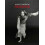 Andre Carrara Regards by Andre Carrara Hardcover Book 1