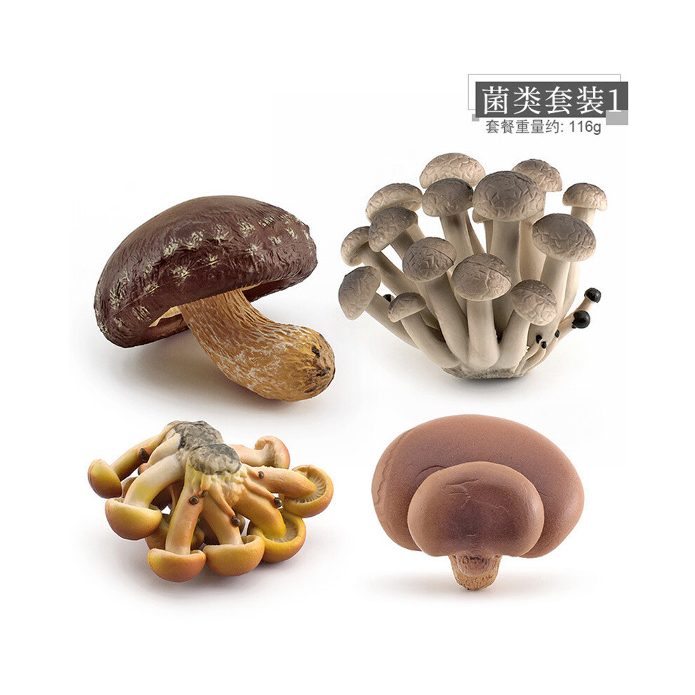 (Set 1 116g)Ensemble modèle champignon délicieusement détaillé comprenant shiitake enoki matsutake et parapluies toxiques accrocheurs pour table