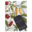 Botanical Art Notebook Set by Bodleian Library Other Book 1
