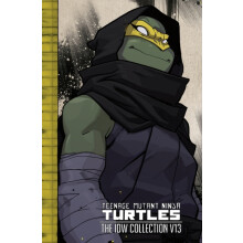 Teenage Mutant Ninja Turtles The IDW Collection Volume 13 by Tom Waltz