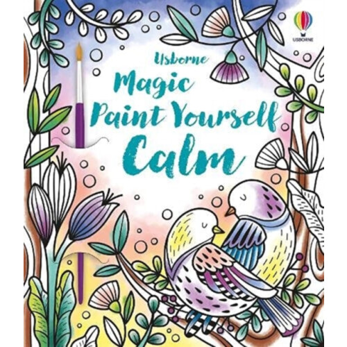 Magic Paint Yourself Calm by Abigail Wheatley Paperback Book