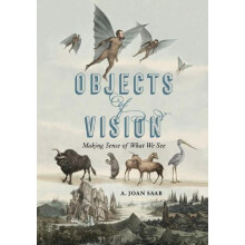 Objects of Vision by Saab A. Joan Susan B. Anthony Professor Universit