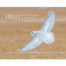 Bird Photographer of the Year by Bird Photographer of the Year Hardcov