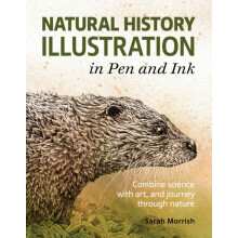 Natural History Illustration in Pen and Ink by Sarah Morrish Paperback