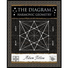The Diagram by Adam Tetlow Paperback Book