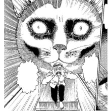 Junji Itos Cat Diary Yon amp Mu Collectors Edition by Junji Ito Hardco