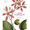 Indian Botanical Art by Martyn Rix Hardcover Book 1