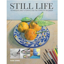 Still Life by S Johns Paperback Book