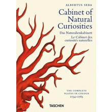 Seba. Cabinet of Natural Curiosities. 40th Ed. by Rainer Willmann Hard