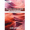 Projection Design for Theatre and Live Performance by Dobbins Alison C 1