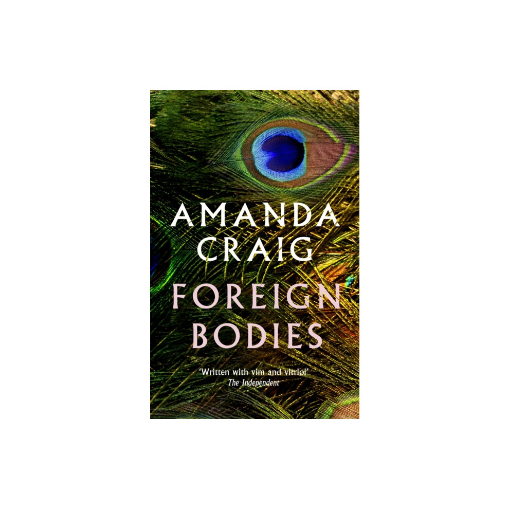 Riachristiecollections Foreign Bodies By Amanda Craig Paperback Book