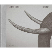 Elephant by Laurent Baheux Hardcover Book