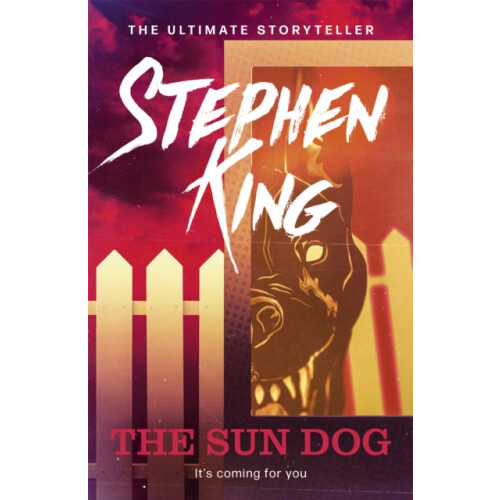 The Sun Dog by Stephen King Paperback Book