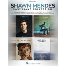 Shawn Mendes Easy Piano Collection by Other Shawn Mendes Other Book
