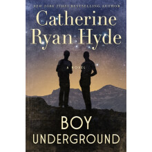 Boy Underground by Catherine Ryan Hyde Paperback Book