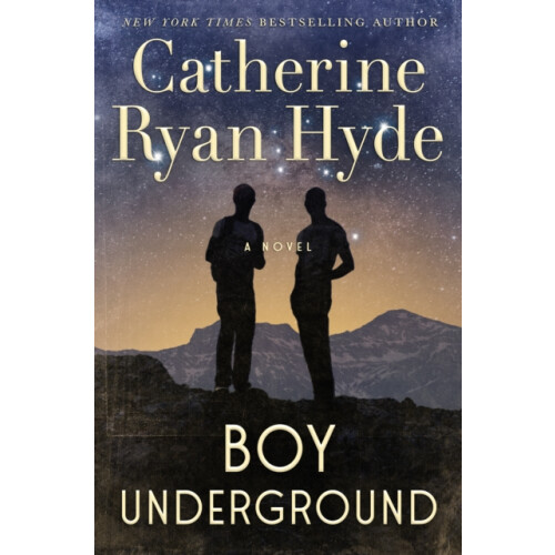 Boy Underground by Catherine Ryan Hyde Paperback Book