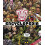 2000 AD Encyclopedia by Scott Montgomery Hardcover Book 1