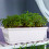 Living And Home (Grey-white) 5-Piece Rectangle Garden Planter Set 1