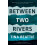 Between Two Rivers by Tina Beattie Paperback Book 1