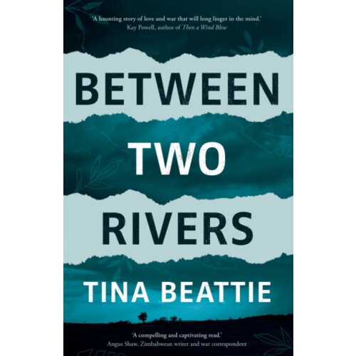 Between Two Rivers by Tina Beattie Paperback Book