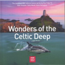 Wonders of the Celtic Deep by Anne Gallagher Hardcover Book