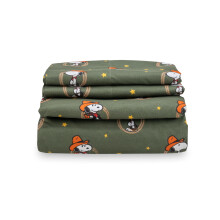 Berkshire Blanket Peanuts Copii Set Set Queen Size - 4 buca?i personaj dragu? Snoopy Pat de microfibra tiparit de paturi moale Snoopy Giddy Up Co