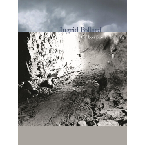 Ingrid Pollard by Anthony Spira Paperback Book