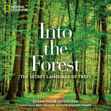 Into the Forest by Susan Tyler Hitchcock Hardcover Book