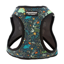 Downtown Pet Supply Trin i hundesele til sm? hunde Ingen tr?k Medium dinosaur - Justerbar sele med polstret mesh stof og reflekterende trim - sp?
