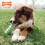 Nylabone Nylabone S 5