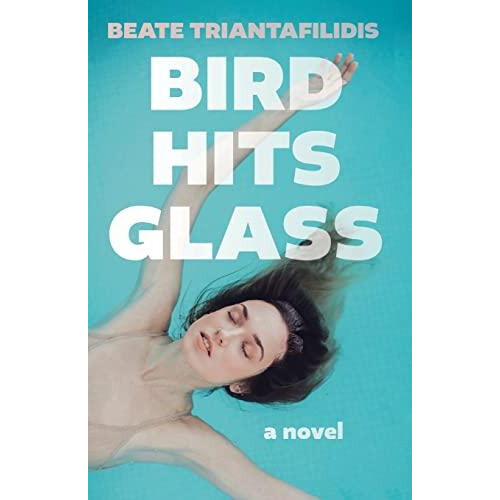 Bird Hits Glass by Beate Triantafilidis Paperback Book
