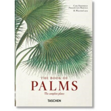 Martius. The Book of Palms. 45th Ed. by H. Walter Lack Hardcover Book