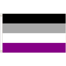 (5' x 3' - 150cm x 90cm) Asexual Asexuality LGBTQ+ Pride Polyester Flag