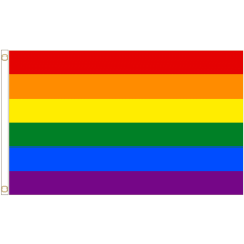 (5' x 3' - 150cm x 90cm) Gay Pride LGBTQ+ Rainbow Pride Polyester Flag