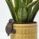 Homescapes Homescapes Tortoise Pot Hanger Decoration 1