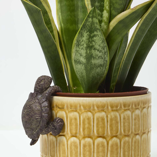 Homescapes Homescapes Tortoise Pot Hanger Decoration