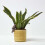 Homescapes Homescapes Bird Pot Hanger Decoration 6